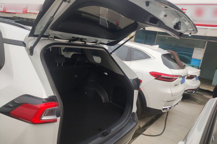 Used Toyota Wildlander 2023 2.0L CVT Four-Wheel Drive Luxury PLUS Edition
