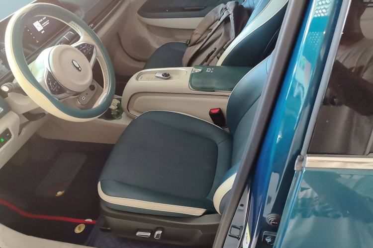 Used ORA Good Cat 2023 401 km Standard Range Luxury Version Lithium Iron Phosphate
