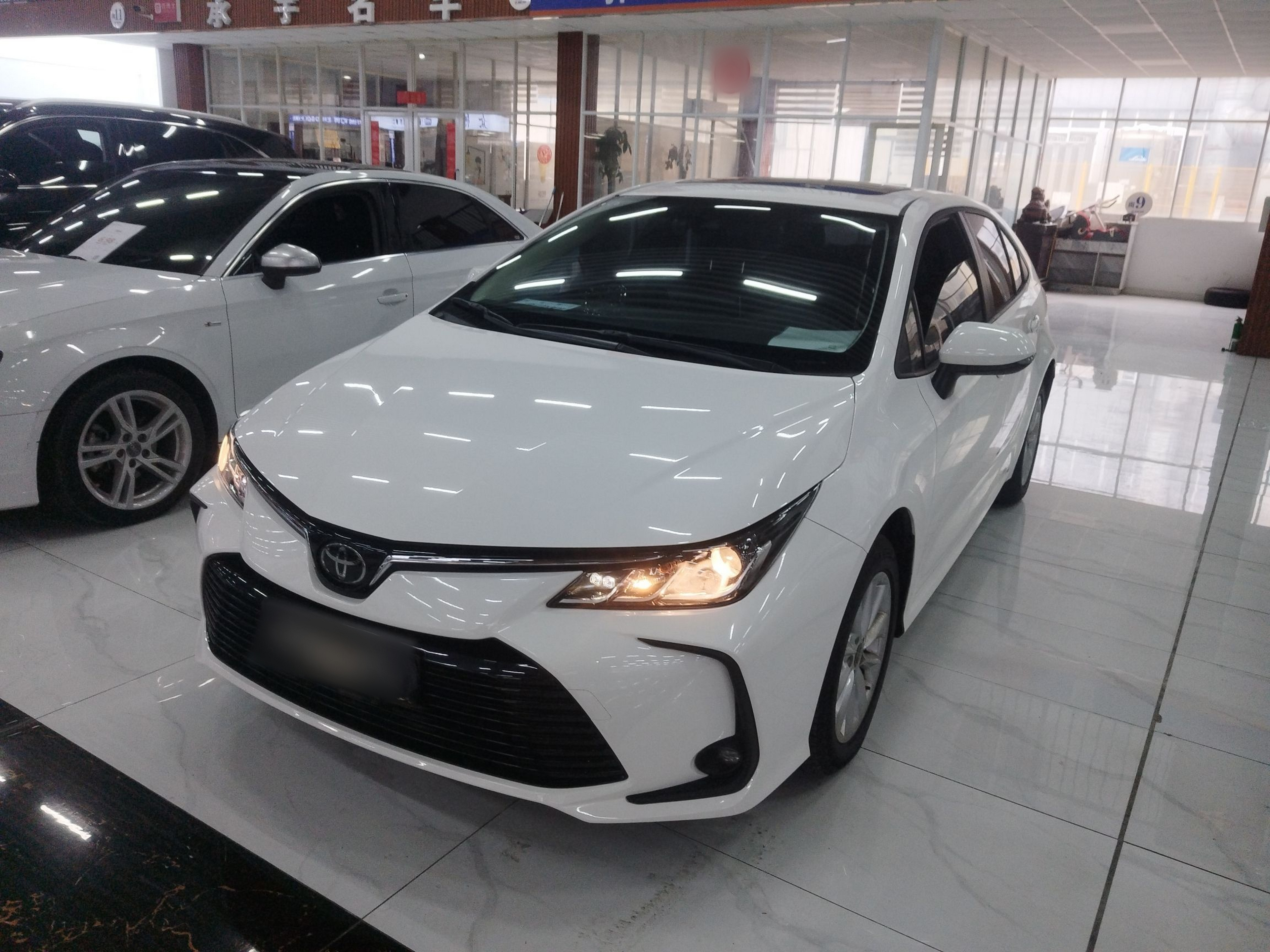 تحت مقدمة السيارة