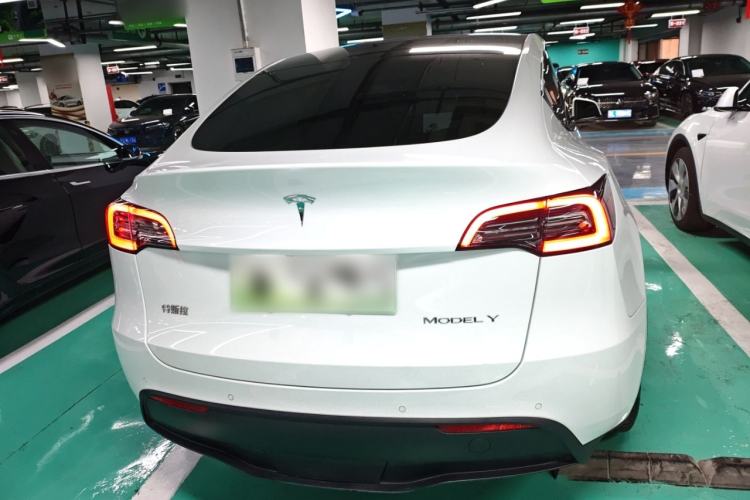 Used Tesla Model Y 2021 Standard Range Rear-Wheel Drive Version
