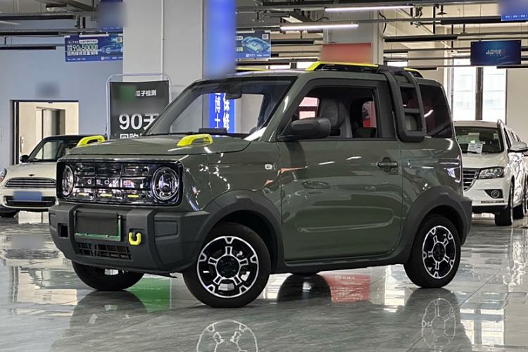 Used  Panda 2024 200km Panda Rider
