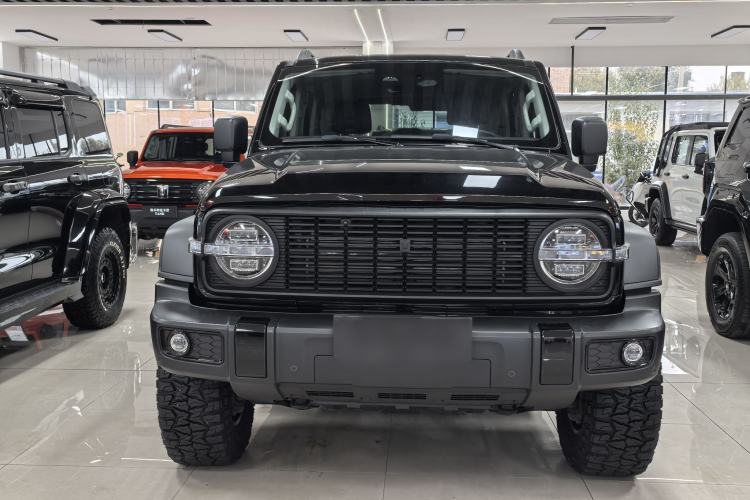 Used Tank 300 2024 2.0T Conqueror
