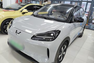 Used Wuling Bingo PLUS 2024 510 km Flagship Edition Four-Seater Version