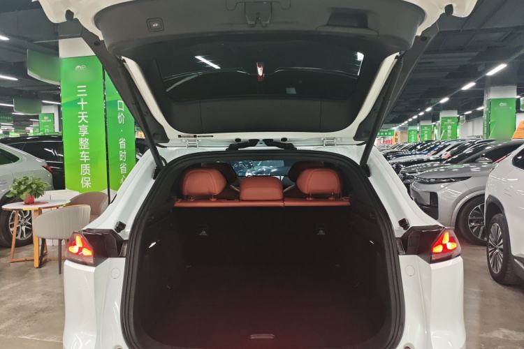 Used  S07 2023 200Max Range-Extended Version
