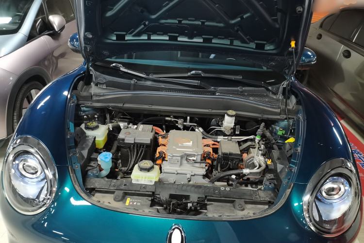 Used ORA Good Cat 2023 401 km Standard Range Prestige Version Lithium Iron Phosphate
