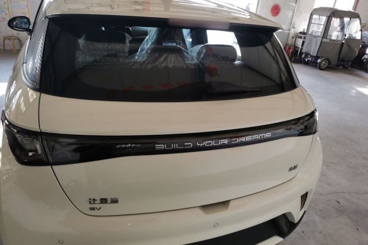 Used BYD Dolphin 2025 420km Free Edition
