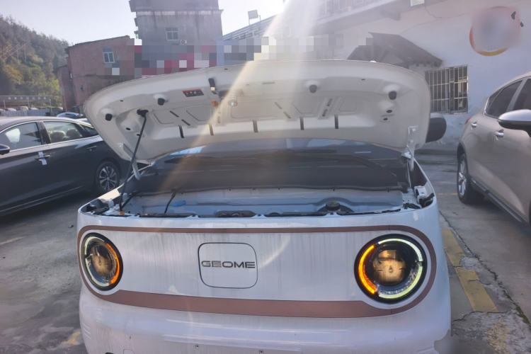 Used  Panda 2024 Panda Mini 200km Endurance Bear
