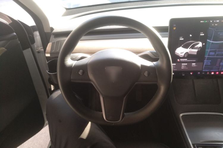 Used Tesla Model Y 2021 Standard Range Rear-Wheel Drive Version