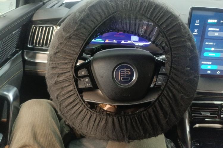 Used BYD Tang New Energy 2022 DM-p 215 km All-Wheel-Drive Deluxe Model
