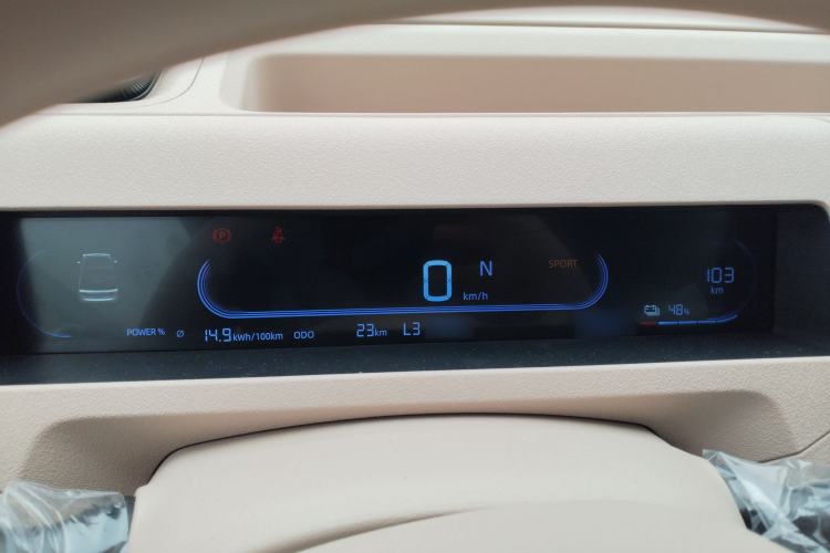 Used  Panda 2024 Panda Mini 200km Endurance Bear