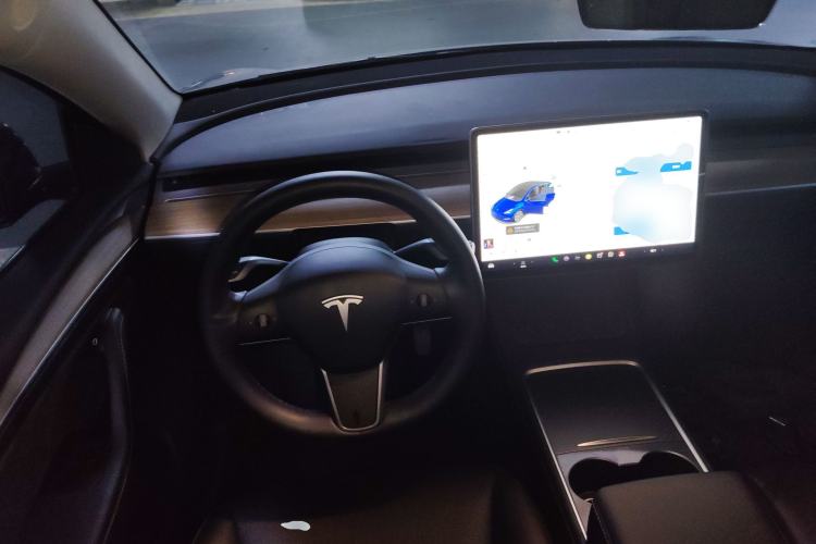 Used Tesla Model Y 2021 Standard Range Rear-Wheel Drive Version
