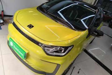 Used SOL E10X 2022 Flower Fairy Design Four-Leaf Clover