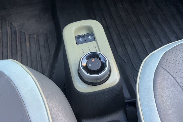 Used  Panda 2024 200km Panda Rider