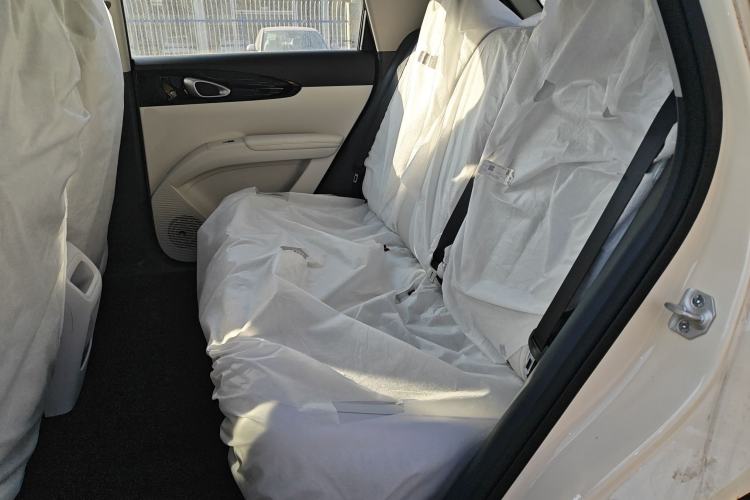 Used  Geome 2025 310km Dream Edition
