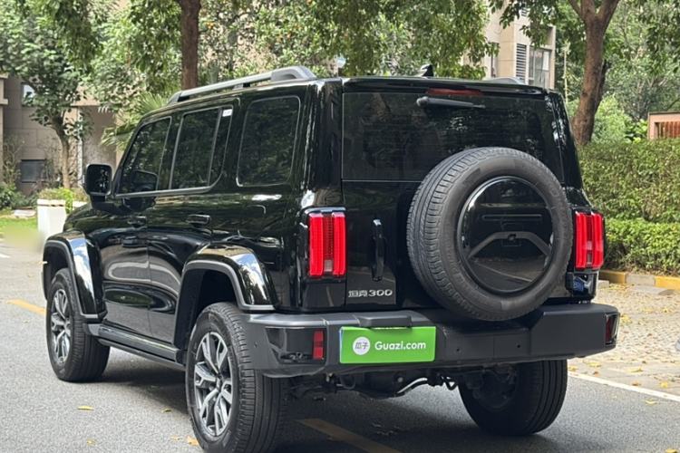 Used Tank 300 2024 2.0T Crosser
