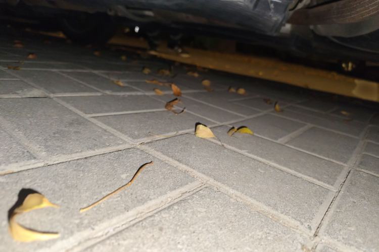 Used Volkswagen Polo 2012 1.6L Cross Polo Automatic Transmission
