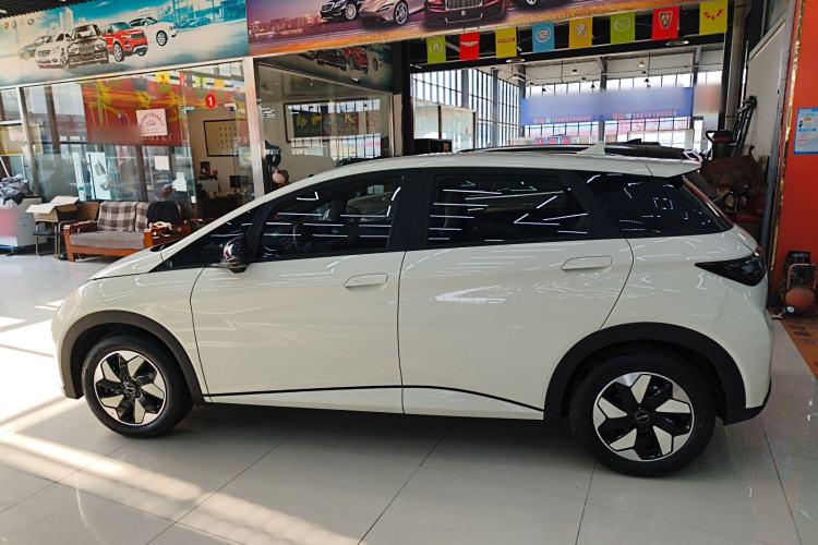 Used BYD Dolphin 2025 420km Free Edition
