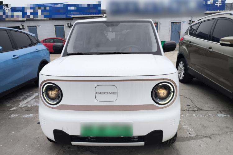 Used  Panda 2023 Panda Mini 120km Cute Bear
