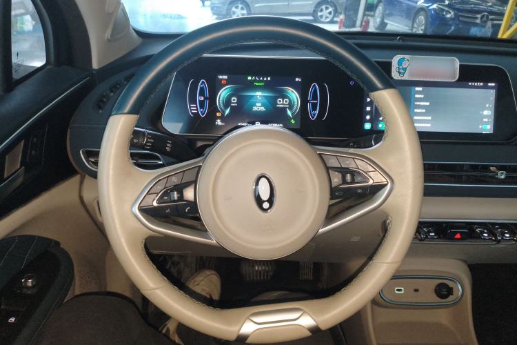 Used ORA Good Cat 2023 401 km Standard Range Luxury Version Ternary Lithium
