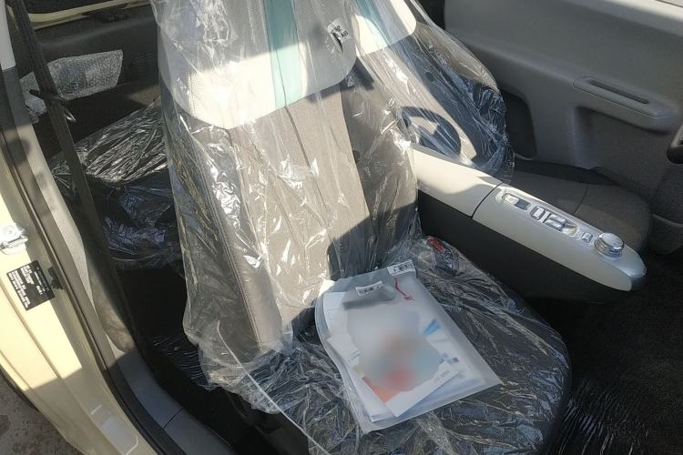 Used  Lumin 2025 205 km Xiangqin Version