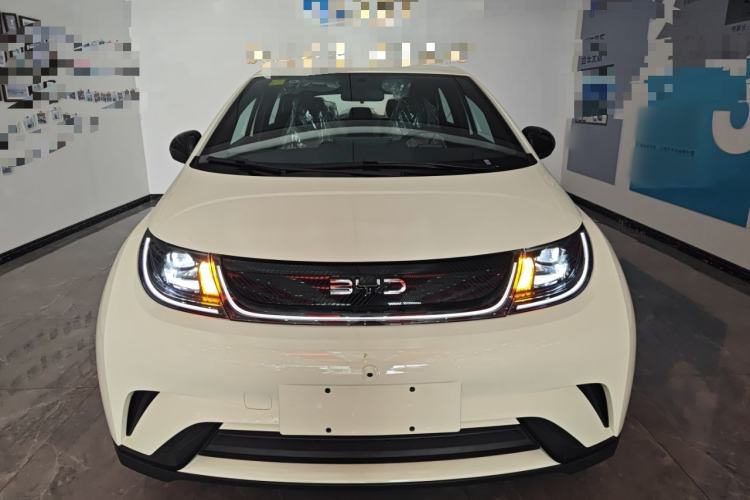 Used BYD Dolphin 2025 420km Free Edition
