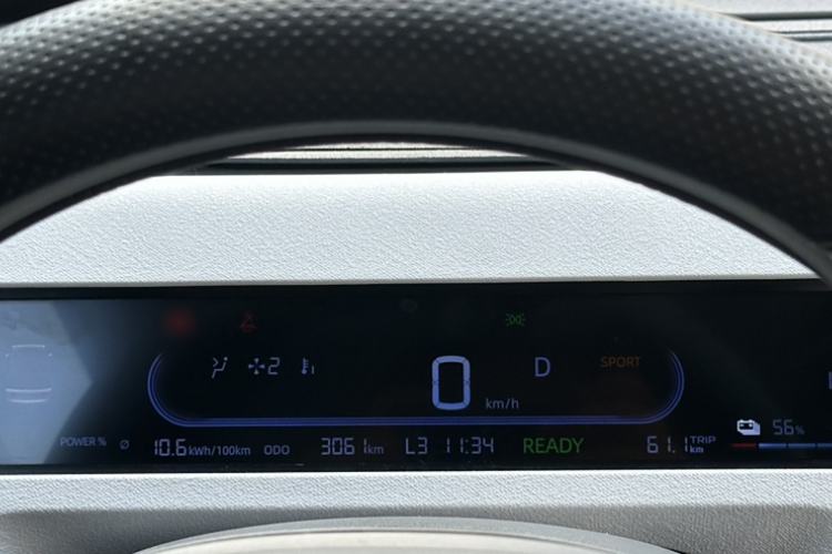 Used  Panda 2024 Panda Mini 200km Endurance Bear
