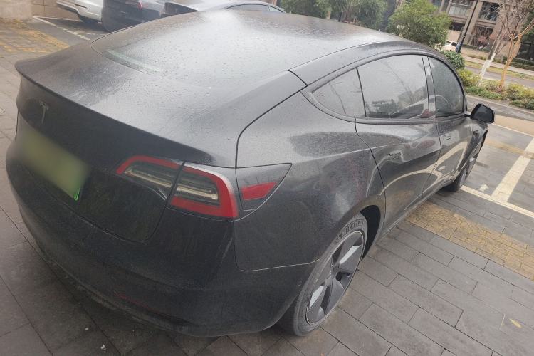 Used Tesla Model 3 2021 Standard Range Rear-Wheel Drive Upgraded Version 3D6
