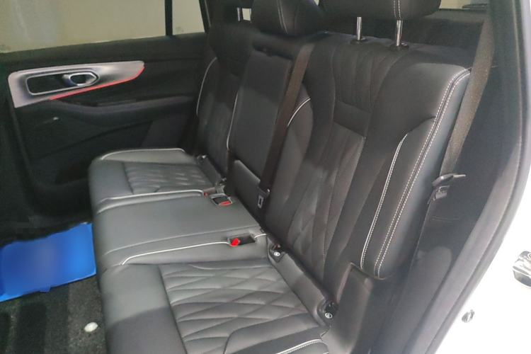 Used GAC Trumpchi GS8 2022 Linghang Series 2.0 TGDI Two-Wheel-Drive Luxury Smart Connectivity Version (7 Seats)
