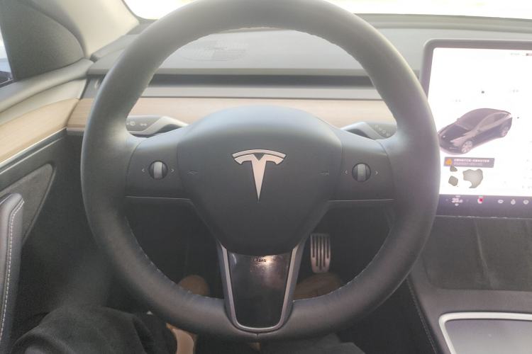 Used Tesla Model Y 2021 Standard Range Rear-Wheel Drive Version
