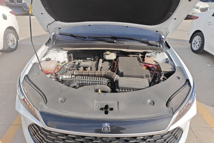 Used BYD Qin PLUS 2025 DM-i Smart Drive 55KM Leading Model
