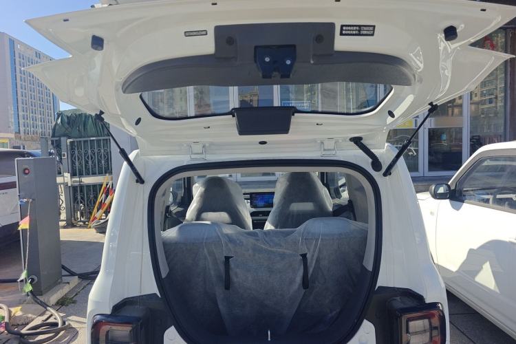 Used  Panda 2024 Panda Mini 200km Endurance Bear