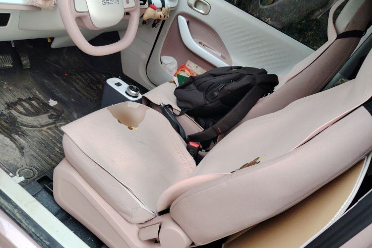 Used  Panda 2025 210 km – Yuanqi Bear