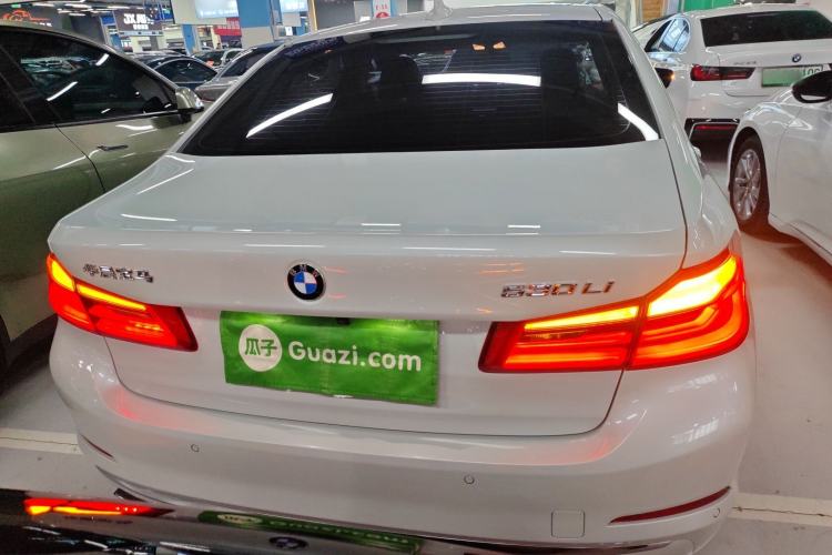 Used BMW 5 Series 2019 530Li Leading Model Luxury Package