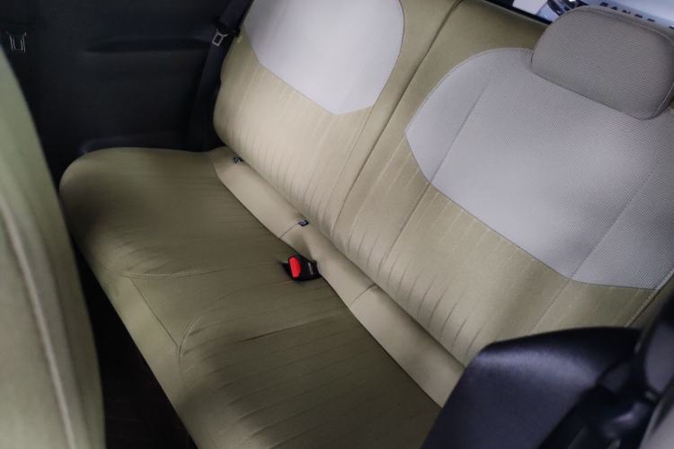 Used  Panda 2024 Panda Mini 200km Endurance Bear
