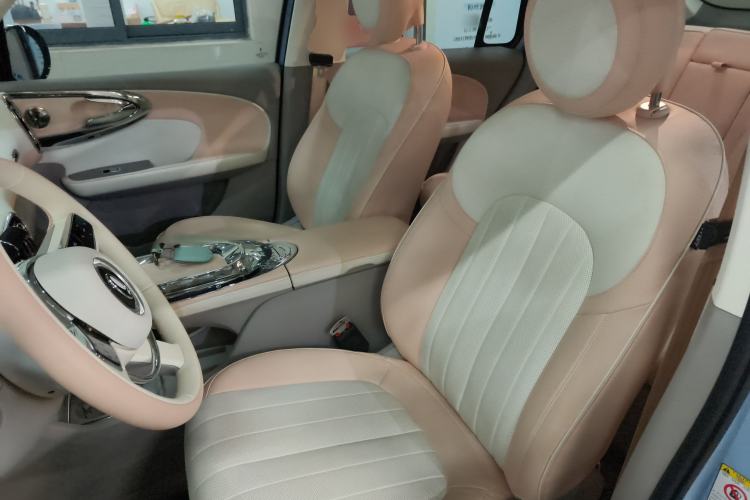 Used ORA Ballet Cat 2022 401 km Nutcracker Edition
