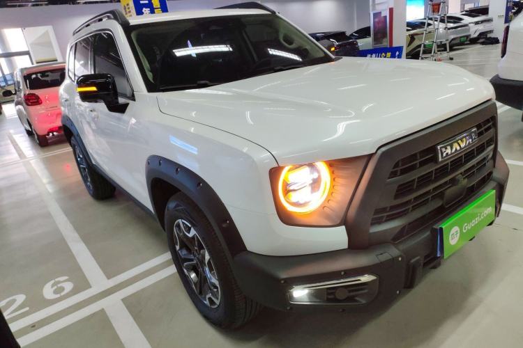 Used Haval DARGO 2024 2.0T DCT Chinese Rural Dog Edition