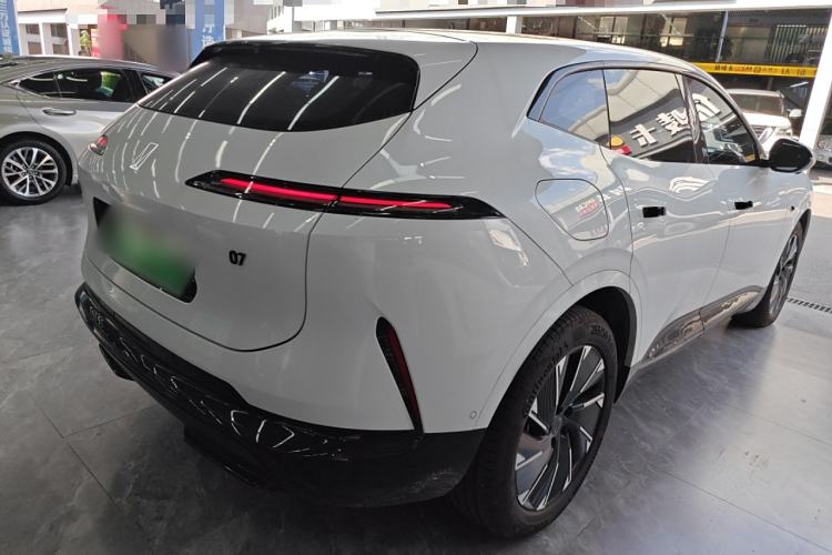 Used  07 2024 Max Extended-Range Edition
