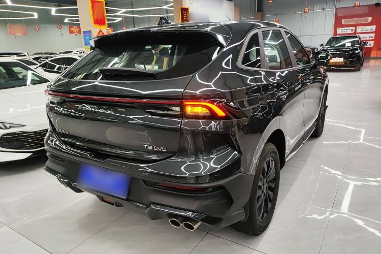 Used FORTHING T5 EVO 2024 Kungfeng Edition 1.5TD DCT Custom Model
