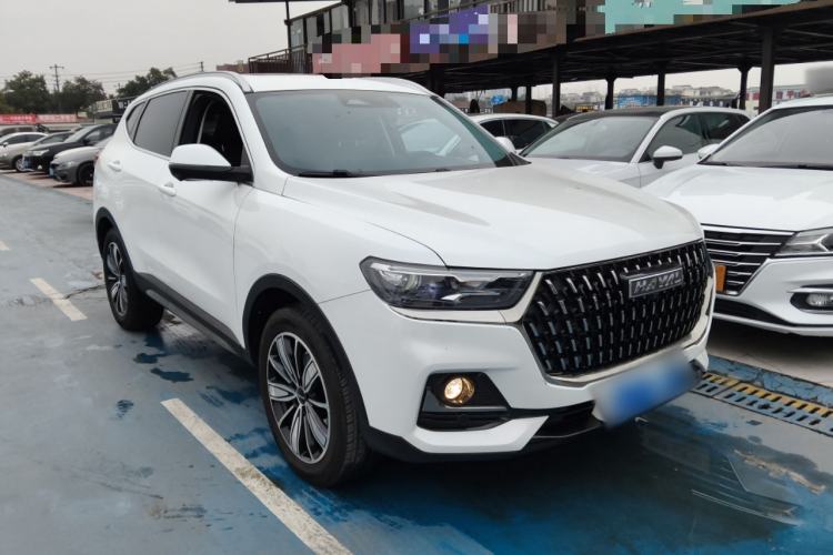 Used Haval H6 2023 National Trend Edition 1.5T Automatic Champion Version
