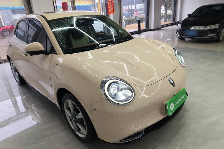 Used ORA Good Cat 2022 Morandi Edition 400km Standard Range Premium Version Lithium-Ion Battery
