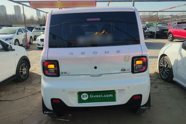 Used  Panda 2024 Panda Mini 200km Endurance Bear
