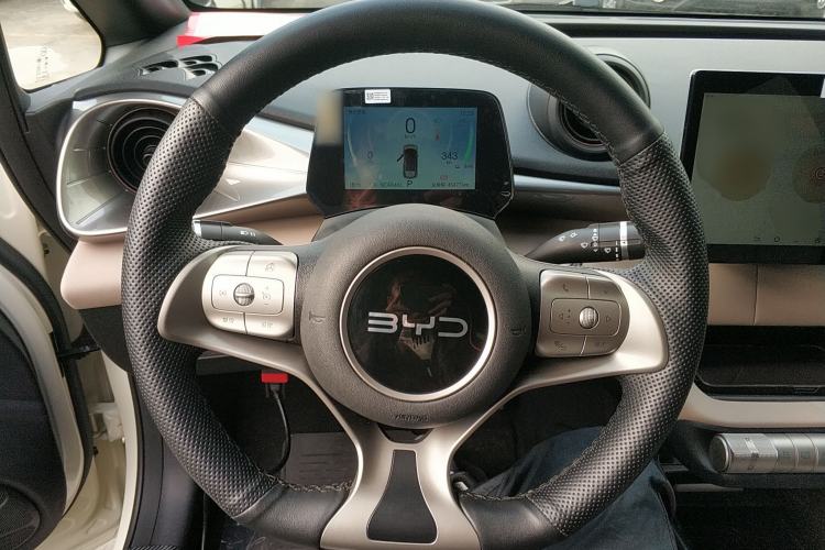 Used BYD Dolphin 2025 420km Active Version
