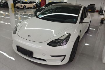 Used Tesla Model 3 2021 Performance High-Performance All-Wheel-Drive Version