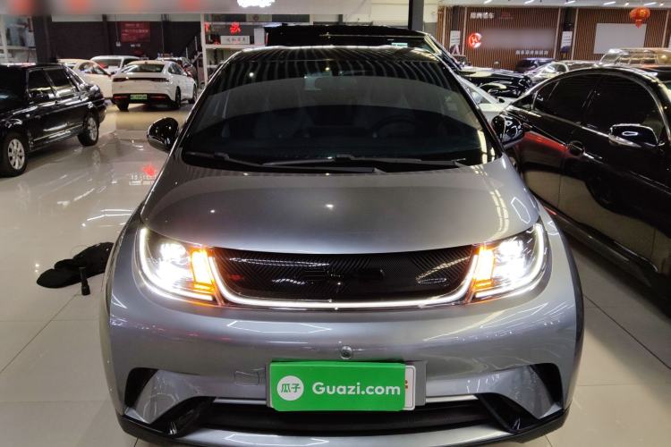 Used BYD Dolphin 2021 405 km Free Version