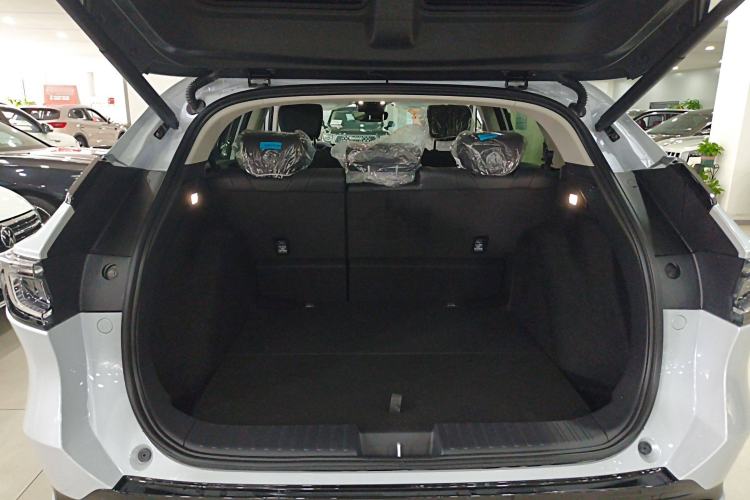 Used Honda P7 2025 Rear-Drive Long-Range Pro
