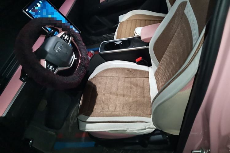 Used NETA V 2021 Witch Edition
