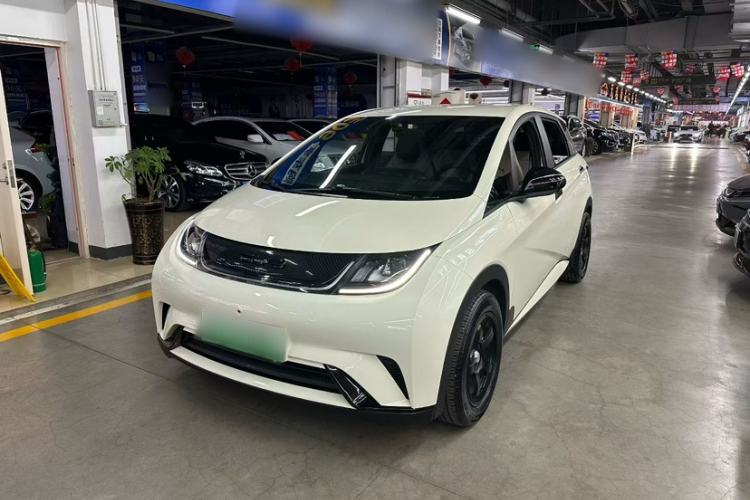 Used BYD Dolphin 2023 420 km Free Version
