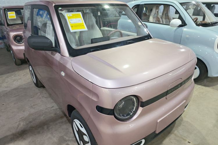 Used  Panda 2025 210 km – Yuanqi Bear
