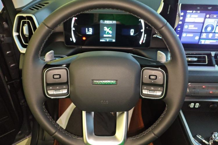 Used Haval H5 2023 2.0T Automatic All-Wheel Drive LinkedIn Gasoline
