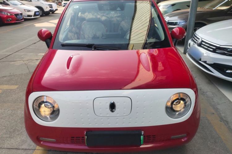 Used ORA Black Cat 2019 351 km Goddess Edition
